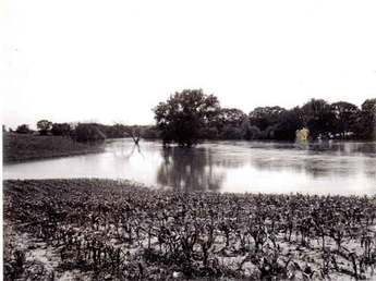 Flooded Cornfield on Frank Hanson Farm 1 July 1969
